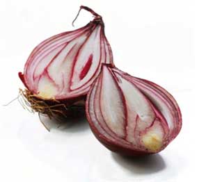 bawang-merah