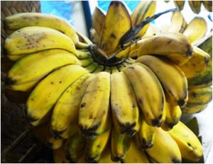 pisang-kolak1