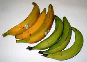 pisang-2a