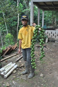 kolang-kaling-baru-1a