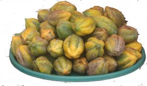 pepaya-gunung-edit-1